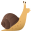 snail