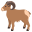 ram