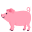 pig