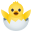 hatching chick