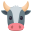 cow face