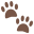 paw prints