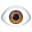 eye